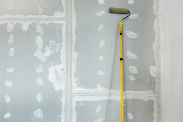 Best Forensic Mold Investigation  in Mayer, MN