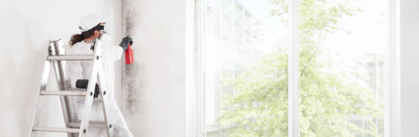 Best Mold-Related Health Consultation  in Mayer, MN