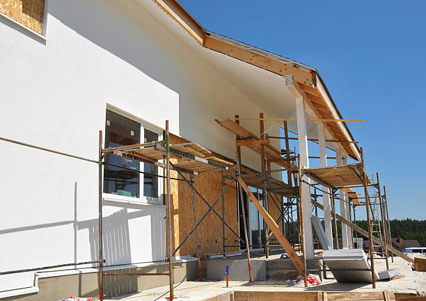 Best Environmental Consulting for Mold Prevention  in Mayer, MN