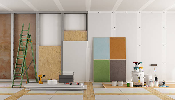 Best Mold Remediation for Healthcare Facilities  in Mayer, MN