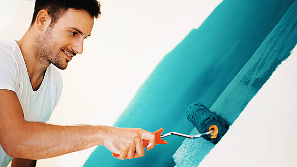 Best Residential Mold Inspection & Testing  in Mayer, MN